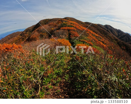 二王子岳山頂付近の紅葉 133588510