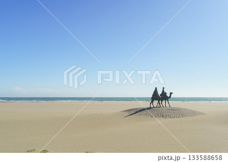 【千葉県】御宿海岸(中央海岸)・月の沙漠記念公園 133588658