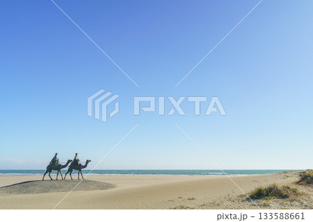 【千葉県】御宿海岸(中央海岸)・月の沙漠記念公園 133588661