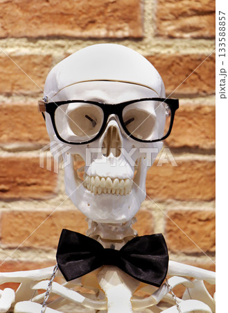 Skeleton fashion 133588857