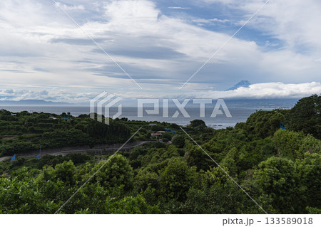 初夏の沼津市西浦地区からみた富士山 初夏の沼津市西浦地区からみた富士山 133589018