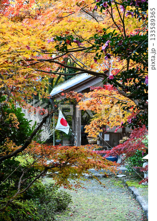 京都 秋の金蔵寺 Konzoji Temple in Autumn (Kyoto, Japan)	 133589365