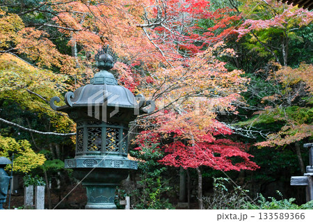 京都 秋の金蔵寺 Konzoji Temple in Autumn (Kyoto, Japan) 京都 秋の金蔵寺 Konzoji Temple in Autumn (Kyoto, Japan) 133589366