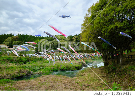 かわいい鯉のぼりが泳ぐ風景 かわいい鯉のぼりが泳ぐ風景 133589435