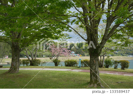 ガラッパ公園ののどかな風景 133589437