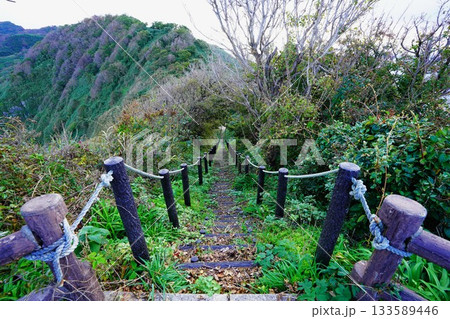 粟島の八幡鼻へ登る遊歩道の階段 133589446