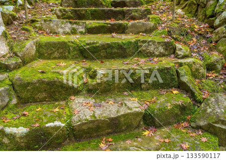 苔むした古いお寺の参道の秋の情景 133590117
