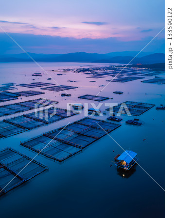 夕暮れの水面を覆う養殖いかだと水上の小屋の明かり 夕暮れの水面を覆う養殖いかだと水上の小屋の明かり 133590122