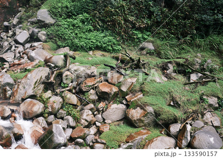 転がるゴツゴツした岩と流木 転がるゴツゴツした岩と流木 133590157