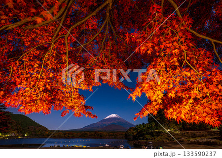 夜の精進湖からのライトアップされた紅葉と富士山 夜の精進湖からのライトアップされた紅葉と富士山 133590237