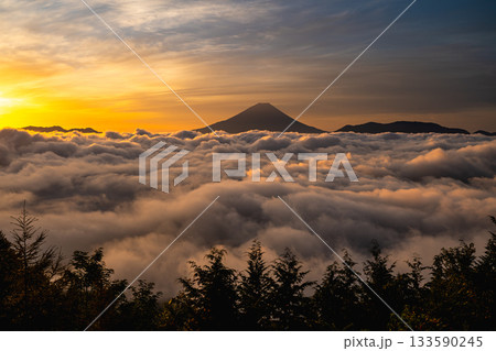 櫛形山から見たうねる雲海と富士山 133590245