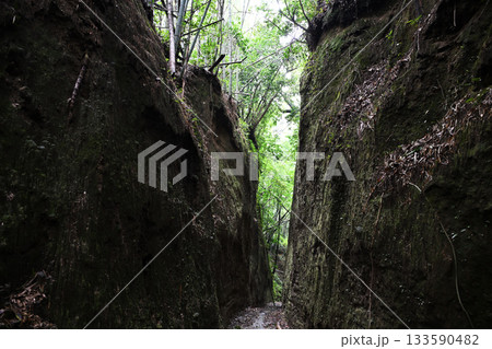 聳り立つシラスの壁 133590482