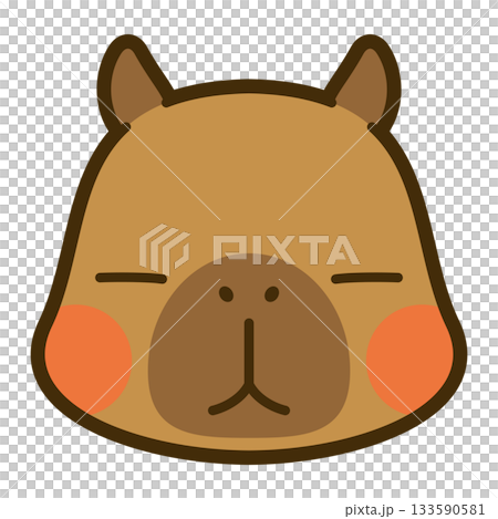 かわいいカピバラの顔アイコン 133590581