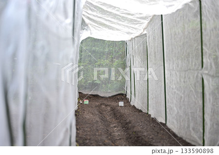 防虫網の簡易ハウス 133590898