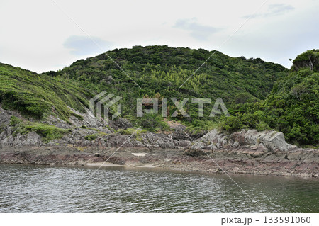 真夏の湯田口海岸 133591060