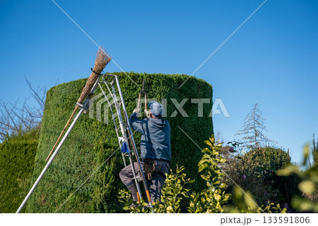 Japanese Gardener 133591806