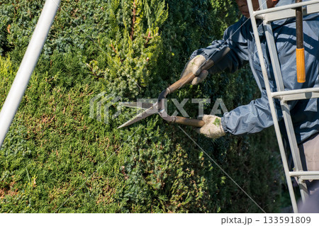 Japanese Gardener 133591809