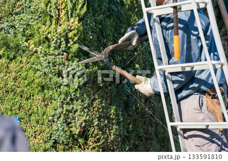 Japanese Gardener 133591810