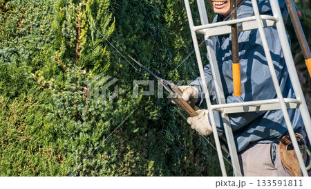 Japanese Gardener 133591811