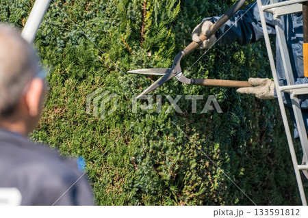 Japanese Gardener 133591812