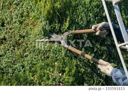 Japanese Gardener 133591813