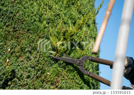 Japanese Gardener Japanese Gardener 133591815