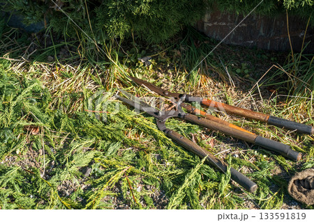 Japanese Gardener Japanese Gardener 133591819