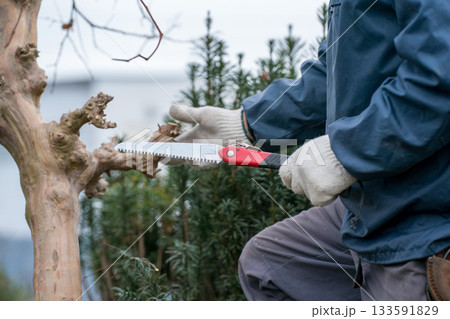 Japanese Gardener Japanese Gardener 133591829