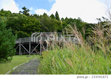 日本一の枕木階段にある展望台 133591871
