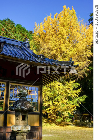 拝殿の奥には見事な大銀杏と小さい祠の八幡神社と稲荷大明神　岡山県真庭市「高田神社」 133591928