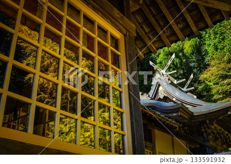 拝殿のガラスに映る見事な大銀杏と鎮座する本殿　岡山県真庭市「高田神社」 133591932