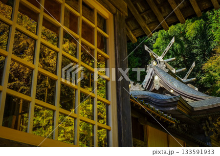 拝殿のガラスに映る見事な大銀杏と鎮座する本殿 岡山県真庭市「高田神社」 拝殿のガラスに映る見事な大銀杏と鎮座する本殿 岡山県真庭市「高田神社」 133591933