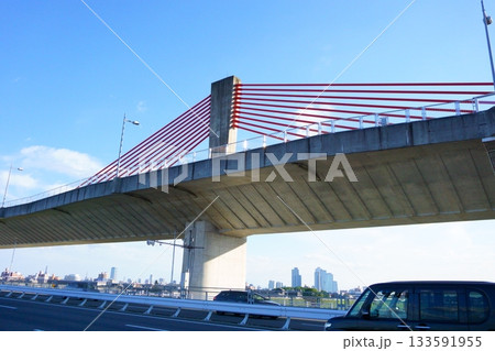 赤とんぼ橋　赤いケーブルを張った橋 133591955