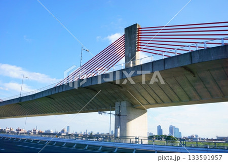 トンボの形に似た赤い橋 133591957