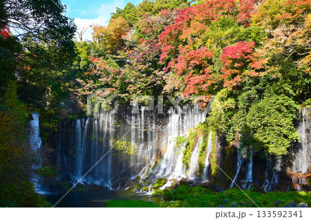 白糸ノ滝 紅葉 富士宮市 白糸ノ滝 紅葉 富士宮市 133592341