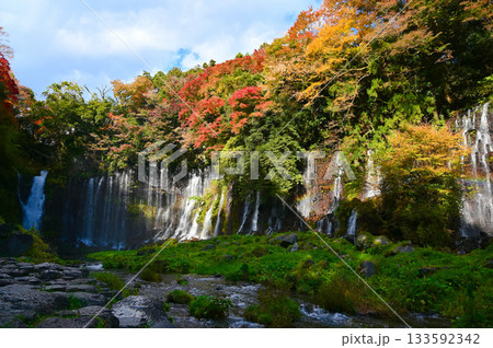 白糸ノ滝 紅葉 富士宮市 白糸ノ滝 紅葉 富士宮市 133592342