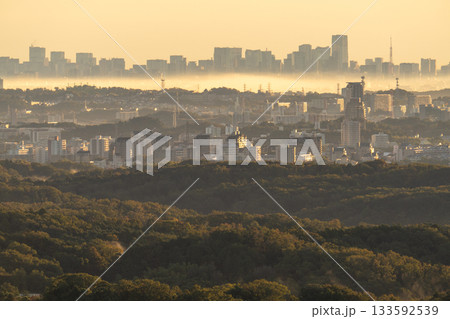 《神奈川県》朝靄の都市風景 《神奈川県》朝靄の都市風景 133592539