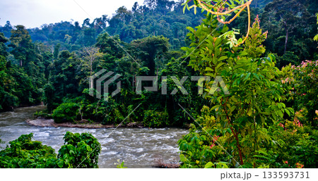 beautiful views of rivers and tropical rainforests beautiful views of rivers and tropical rainforests 133593731