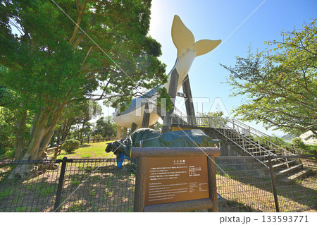 山口県 長門国「櫛崎城跡」石垣と曲輪 山口県 長門国「櫛崎城跡」石垣と曲輪 133593771