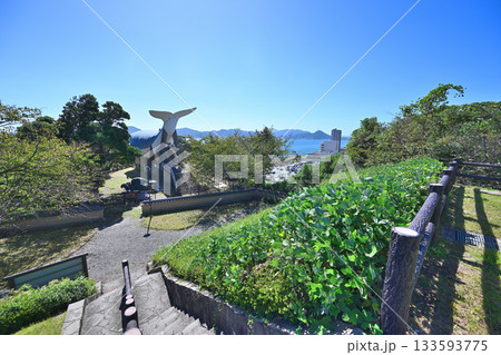 山口県 長門国「櫛崎城跡」石垣と曲輪 山口県 長門国「櫛崎城跡」石垣と曲輪 133593775