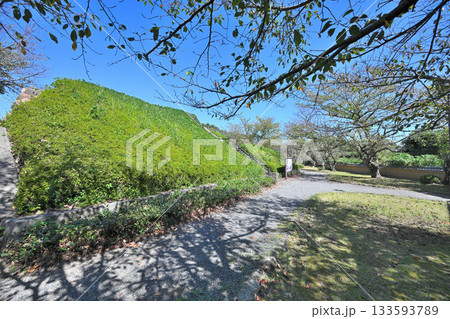 山口県　長門国「櫛崎城跡」石垣と曲輪 133593789