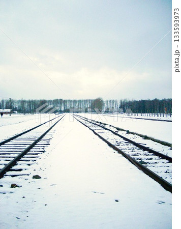 アウシュビッツの冬　ポーランド　5 133593973