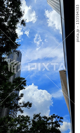 Sky view adorned with towering buildings, captured from below. The perspective showcases the majestic structures blending harmoniously with stunning clouds and a vibrant, clear sky. Sky view adorned with towering buildings, captured from below. The perspective showcases the majestic structures blending harmoniously with stunning clouds and a vibrant, clear sky. 133594383