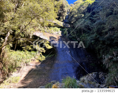 自然 天然 ナチュラル 133594615