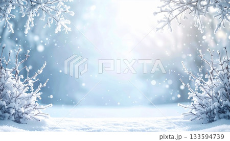霧氷の枝と雪のキラキラ背景 冬景色フレーム 133594739