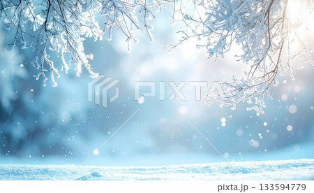 霧氷の枝と雪のキラキラ背景 冬景色フレーム  雪降る冬の森 133594779
