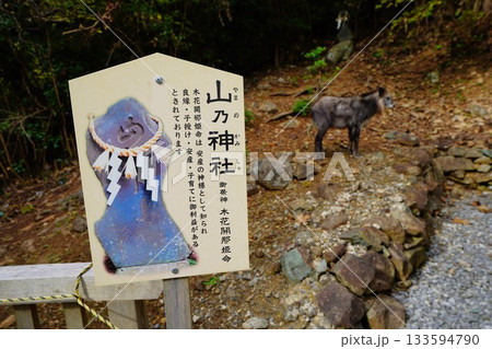 気仙沼大島神社のカモシカと山乃神社 気仙沼大島神社のカモシカと山乃神社 133594790