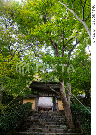 京都大原寂光院の参道の門 133594840