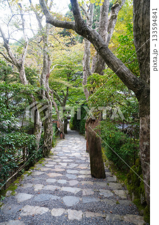 京都大原寂光院の参道の風景 京都大原寂光院の参道の風景 133594841