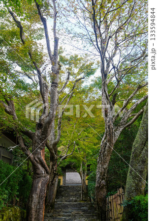 京都大原寂光院の参道の門 133594844